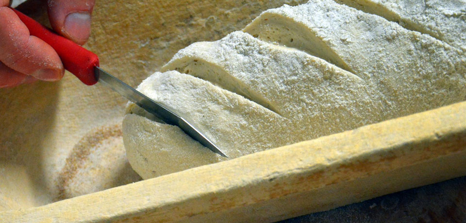 Bäckerei und Konditorei Rieß in Bautzen Bäckerei und Konditorei Rieß in Bautzen